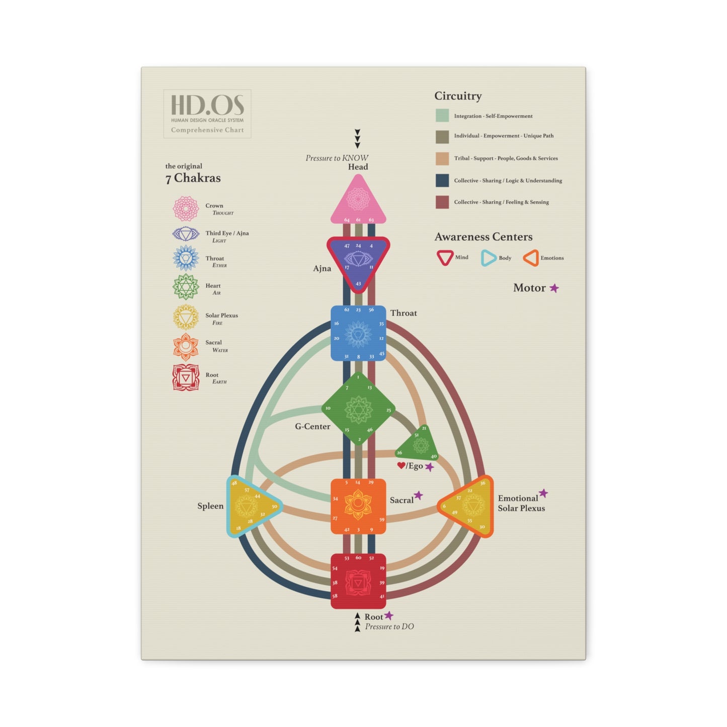 Human Design Chart Canvas Gallery Wrap - Human Design Bodygraph Master Key - Learn Human Design - Decode Human Design Canvas