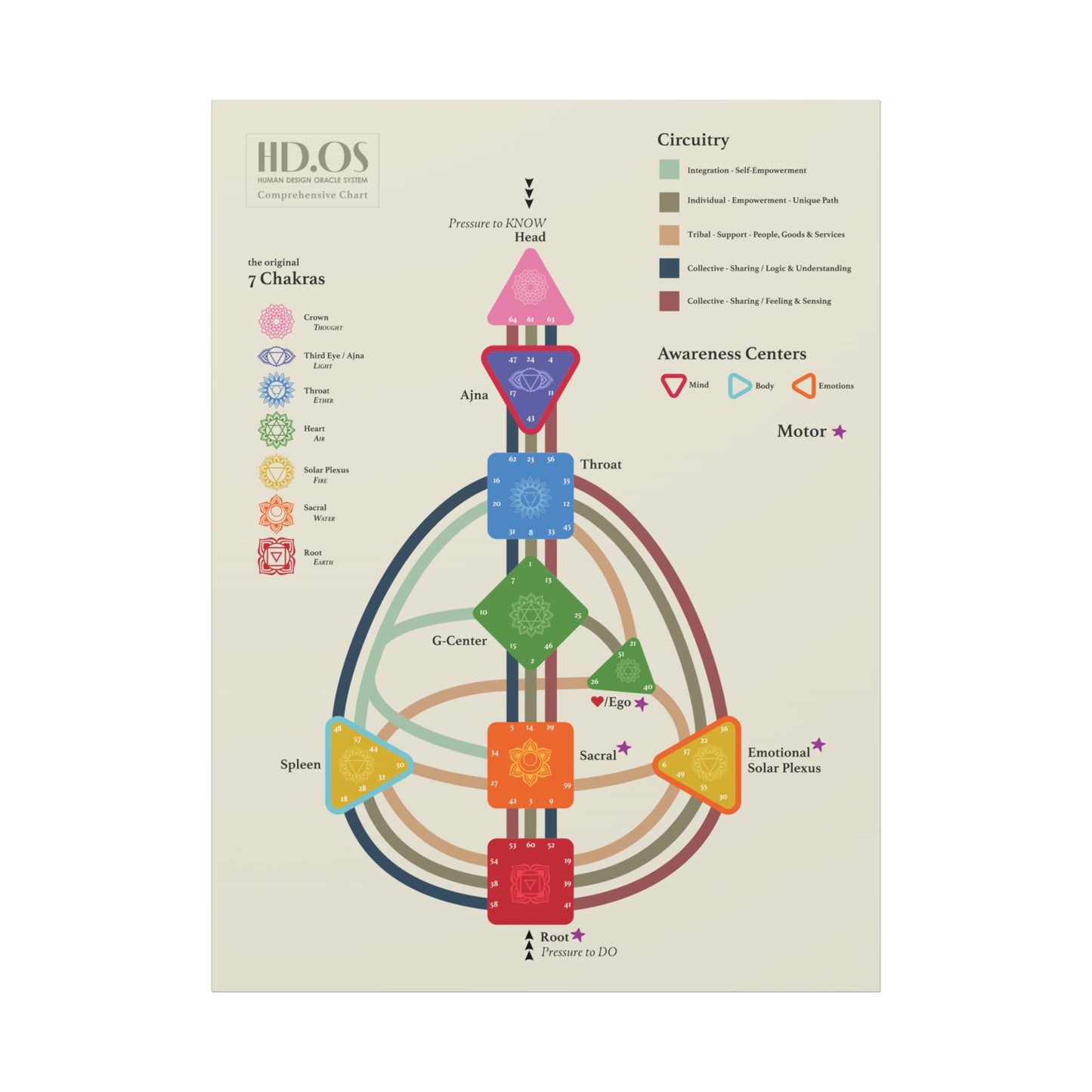 Human Design Chart Canvas Gallery Wrap - Human Design Bodygraph Master Key - Learn Human Design - Decode Human Design Canvas