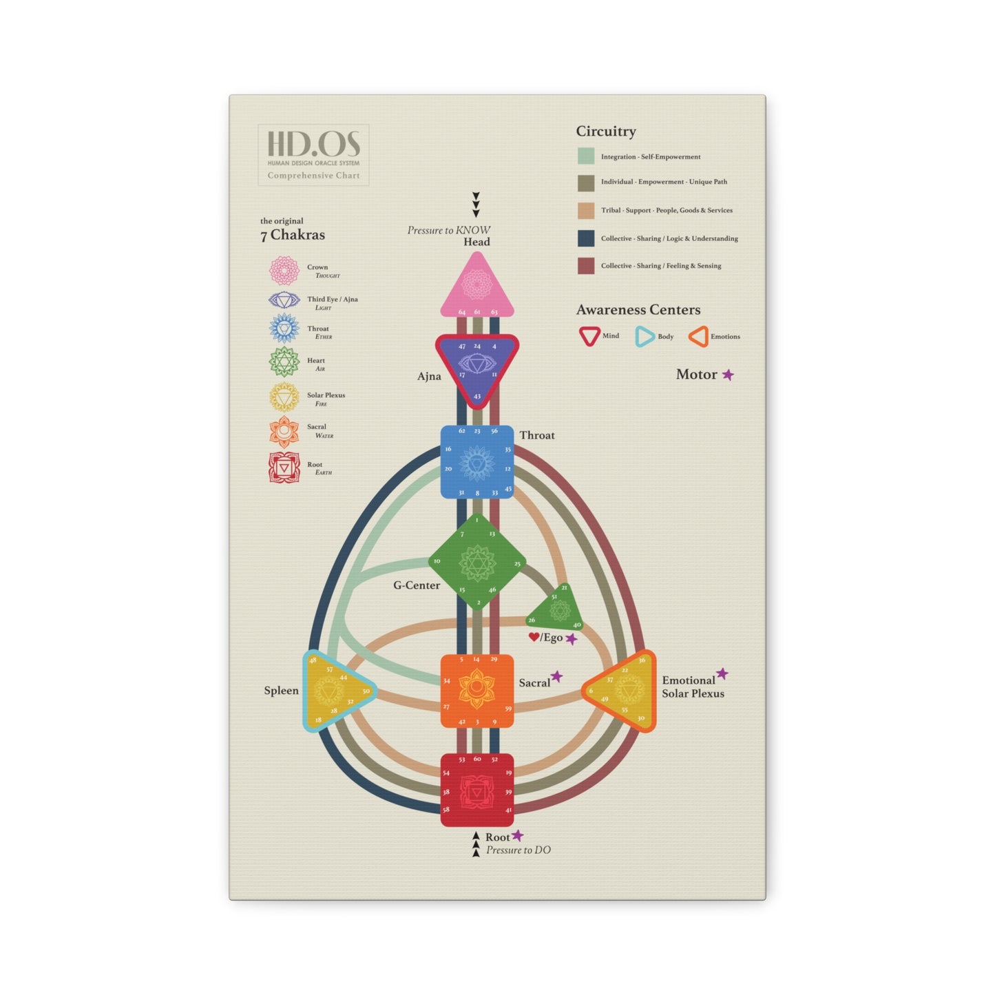 Human Design Chart Canvas Gallery Wrap - Human Design Bodygraph Master Key - Learn Human Design - Decode Human Design Canvas