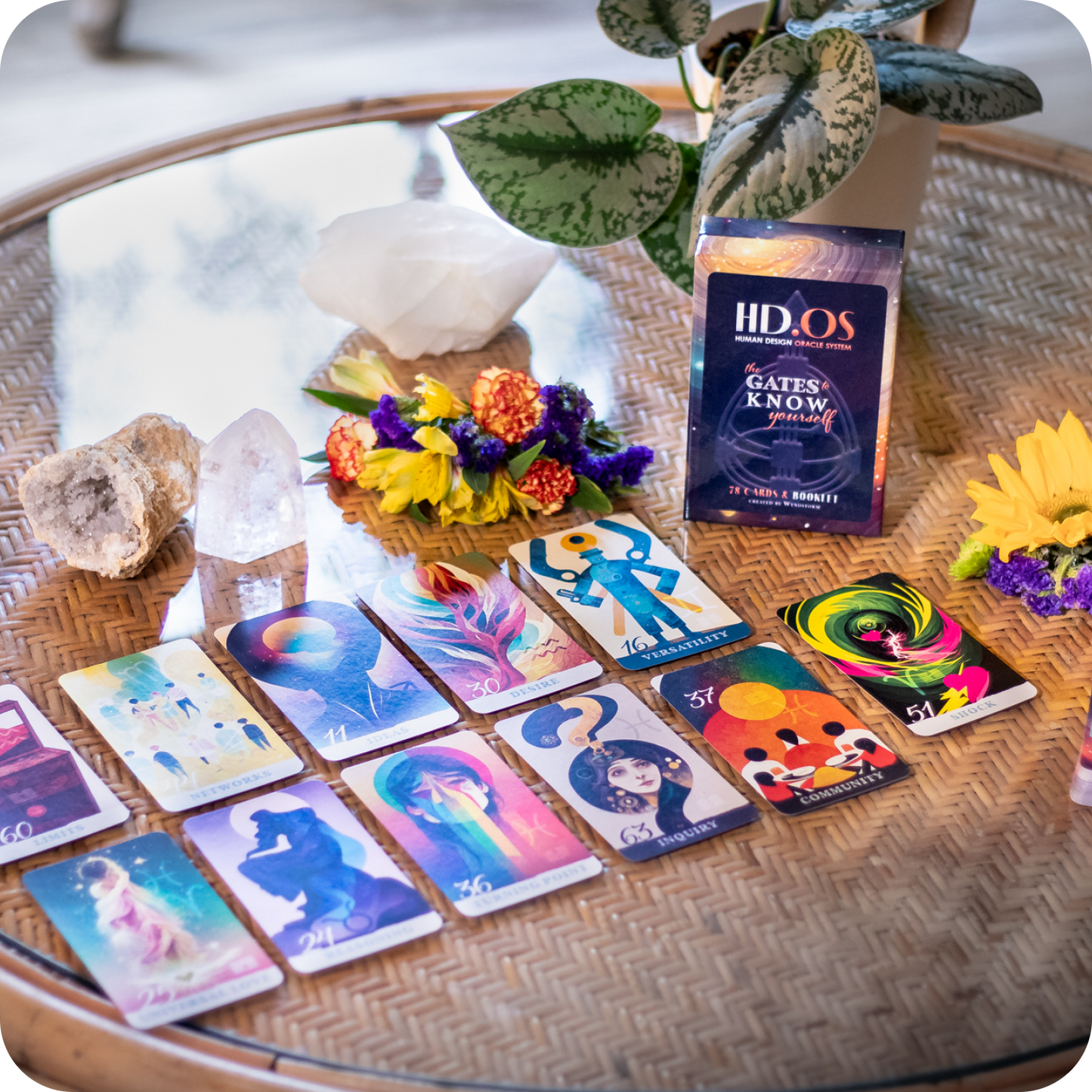 Learn Your Human Design Bundle